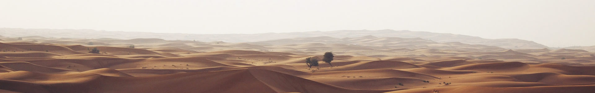 ſԴƼ޹˾